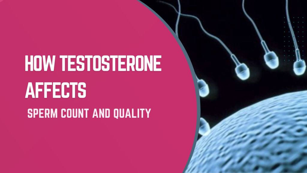 How Testosterone Affects Sperm Count and Quality